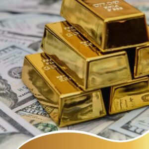 برنامج الثراء المالي لجلب المال دورات و استشارات مجانية و مدفوعة مع رنا مالك